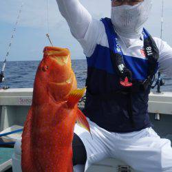 群星・むるぶし 釣果