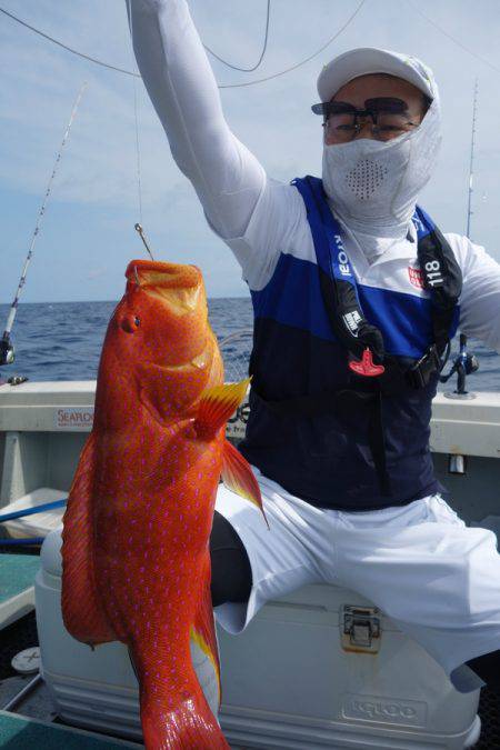 群星・むるぶし 釣果