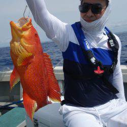 群星・むるぶし 釣果