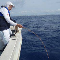 群星・むるぶし 釣果