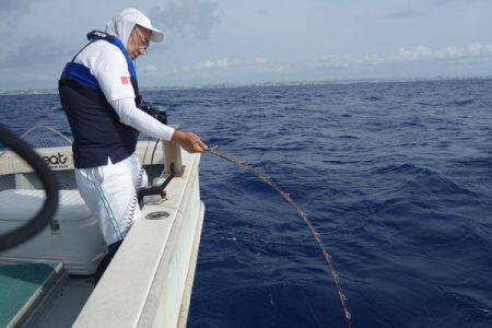 群星・むるぶし 釣果
