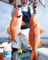 群星・むるぶし 釣果