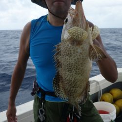 群星・むるぶし 釣果