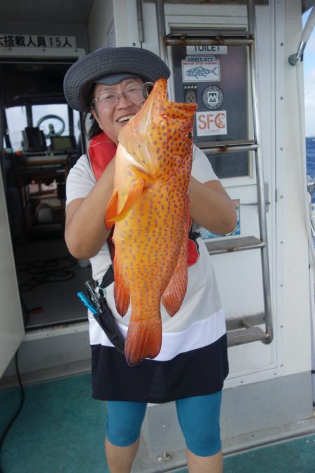 群星・むるぶし 釣果