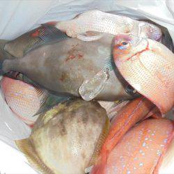 ＨＡＲＵＫＡ丸　はるかまる 釣果