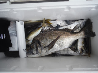 バラモン1号 釣果