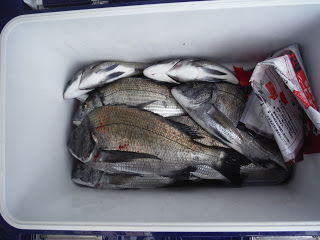 バラモン1号 釣果