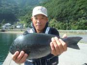 春日丸 釣果