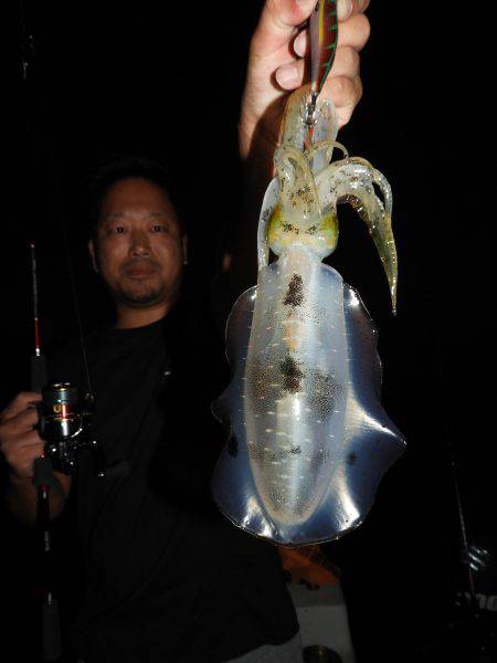 Fisherman Dreams DI 釣果