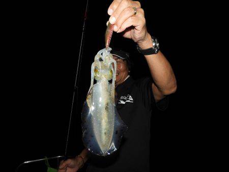 Fisherman Dreams DI 釣果