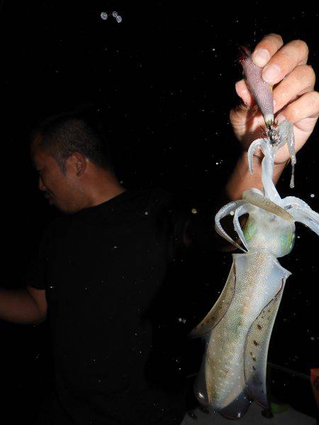 Fisherman Dreams DI 釣果