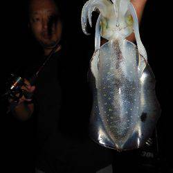 Fisherman Dreams DI 釣果