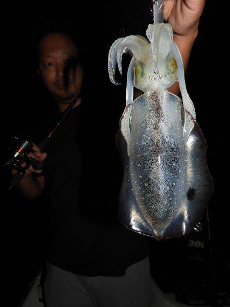 Fisherman Dreams DI 釣果