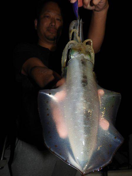 Fisherman Dreams DI 釣果