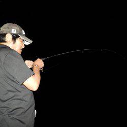 Fisherman Dreams DI 釣果