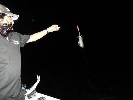 Fisherman Dreams DI 釣果