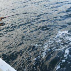 Fisherman Dreams DI 釣果