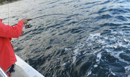 Fisherman Dreams DI 釣果