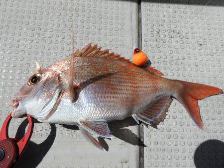 Fisherman Dreams DI 釣果