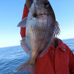 Fisherman Dreams DI 釣果