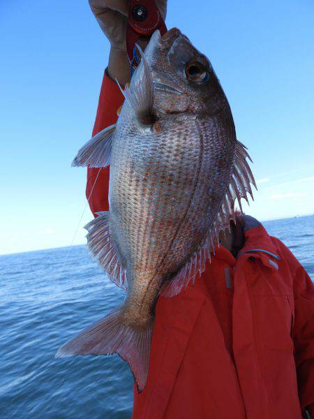 Fisherman Dreams DI 釣果