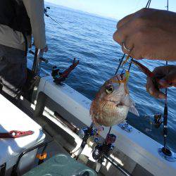 Fisherman Dreams DI 釣果