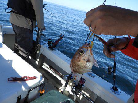 Fisherman Dreams DI 釣果