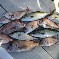 Fisherman Dreams DI 釣果