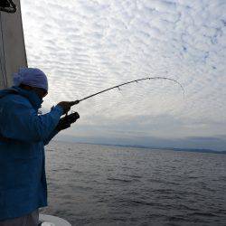 Fisherman Dreams DI 釣果