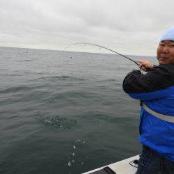 Fisherman Dreams DI 釣果