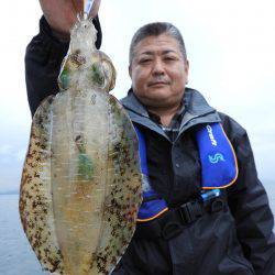 Fisherman Dreams DI 釣果