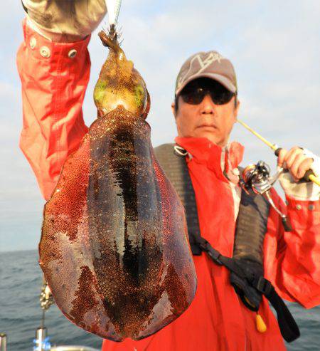 Fisherman Dreams DI 釣果