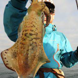 Fisherman Dreams DI 釣果