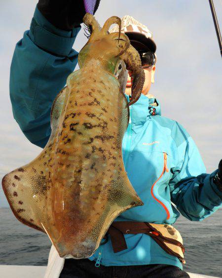 Fisherman Dreams DI 釣果