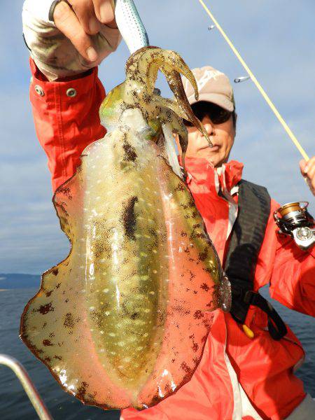 Fisherman Dreams DI 釣果