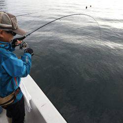 Fisherman Dreams DI 釣果