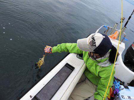 Fisherman Dreams DI 釣果