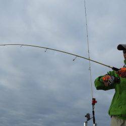 Fisherman Dreams DI 釣果