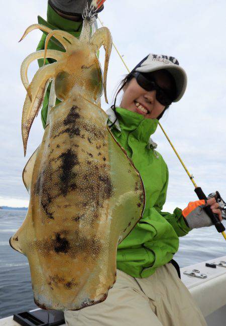 Fisherman Dreams DI 釣…