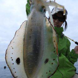 Fisherman Dreams DI 釣果