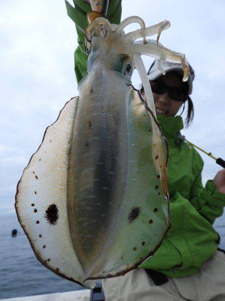 Fisherman Dreams DI 釣果