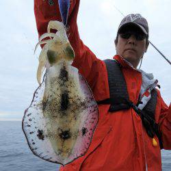 Fisherman Dreams DI 釣果