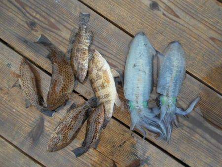 こかわ渡船　雅丸 釣果