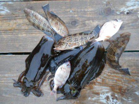 こかわ渡船　雅丸 釣果