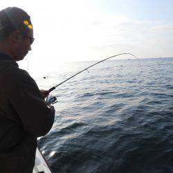 Fisherman Dreams DI 釣果