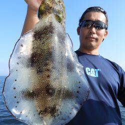 Fisherman Dreams DI 釣果