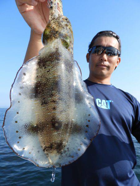 Fisherman Dreams DI 釣果