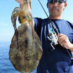 Fisherman Dreams DI 釣果