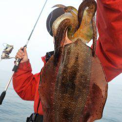 Fisherman Dreams DI 釣果