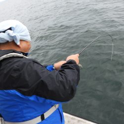 Fisherman Dreams DI 釣果